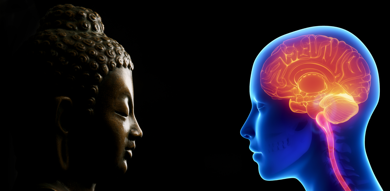 Realm of Consciousness